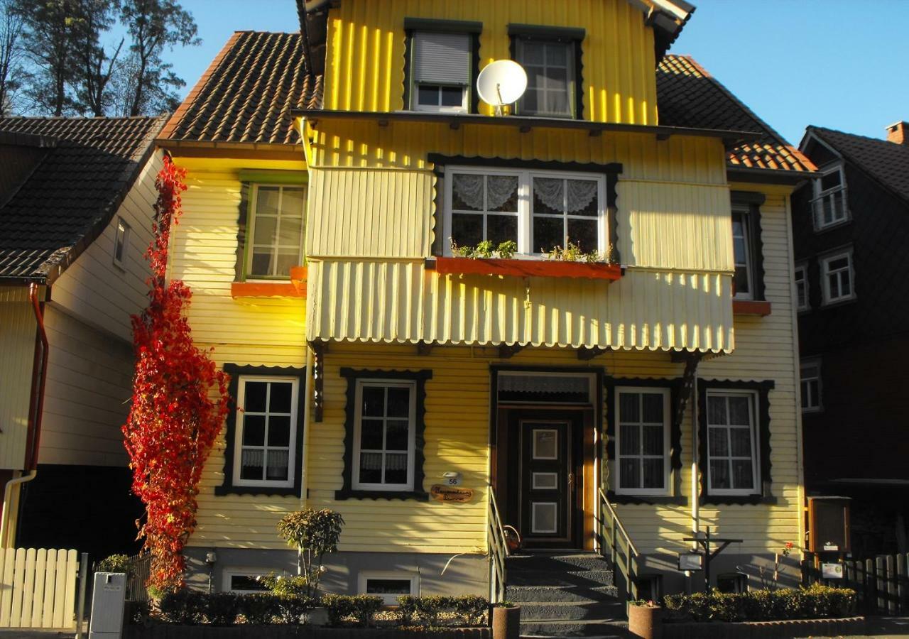 Brummers Ferienwohnung Wildemann Zewnętrze zdjęcie